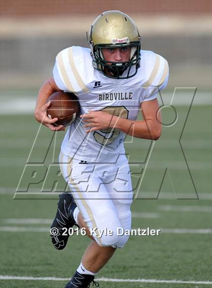 Thumbnail 2 in Boswell Gold @ Birdville Green photogallery.