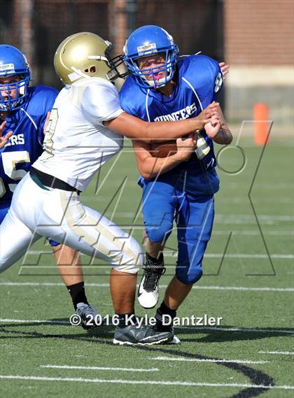 Thumbnail 2 in Boswell Gold @ Birdville Green photogallery.