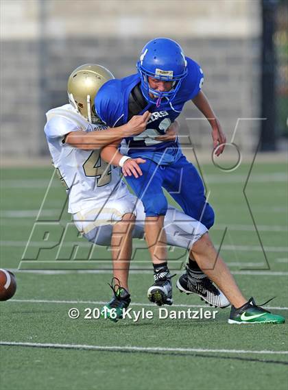 Thumbnail 2 in Boswell Gold @ Birdville Green photogallery.