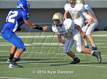 Thumbnail 2 in Boswell Gold @ Birdville Green photogallery.