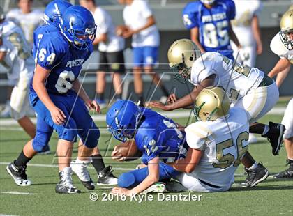 Thumbnail 2 in Boswell Gold @ Birdville Green photogallery.