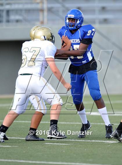 Thumbnail 1 in Boswell Gold @ Birdville Green photogallery.