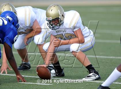 Thumbnail 2 in Boswell Gold @ Birdville Green photogallery.