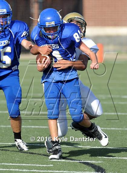 Thumbnail 3 in Boswell Gold @ Birdville Green photogallery.
