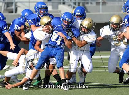Thumbnail 1 in Boswell Gold @ Birdville Green photogallery.