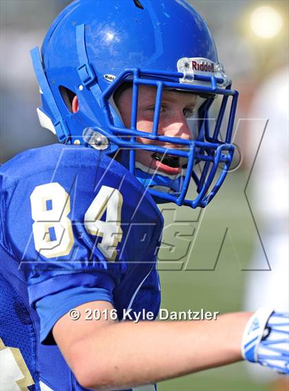 Thumbnail 3 in Boswell Gold @ Birdville Green photogallery.