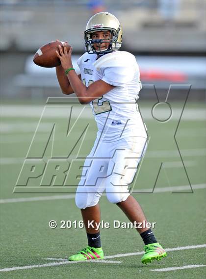 Thumbnail 2 in Boswell Gold @ Birdville Green photogallery.