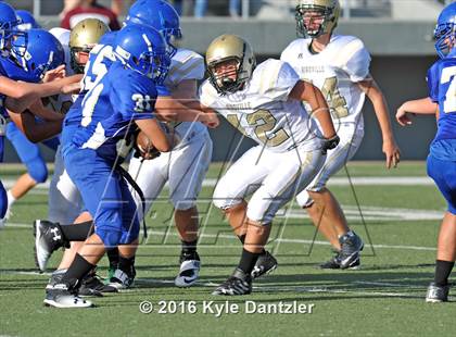 Thumbnail 3 in Boswell Gold @ Birdville Green photogallery.