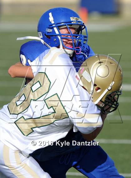 Thumbnail 1 in Boswell Gold @ Birdville Green photogallery.