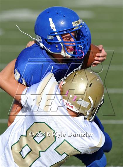 Thumbnail 3 in Boswell Gold @ Birdville Green photogallery.