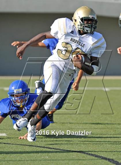 Thumbnail 2 in Boswell Gold @ Birdville Green photogallery.