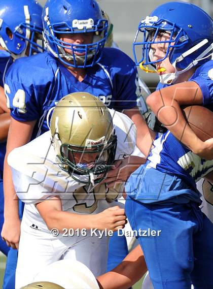 Thumbnail 2 in Boswell Gold @ Birdville Green photogallery.