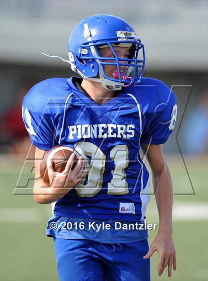 Thumbnail 2 in Boswell Gold @ Birdville Green photogallery.