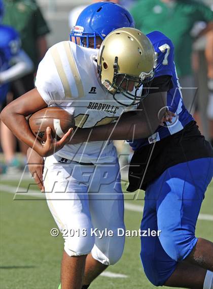 Thumbnail 2 in Boswell Gold @ Birdville Green photogallery.