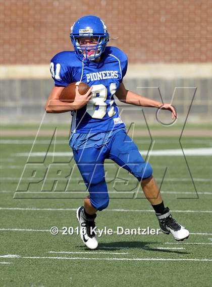 Thumbnail 2 in Boswell Gold @ Birdville Green photogallery.