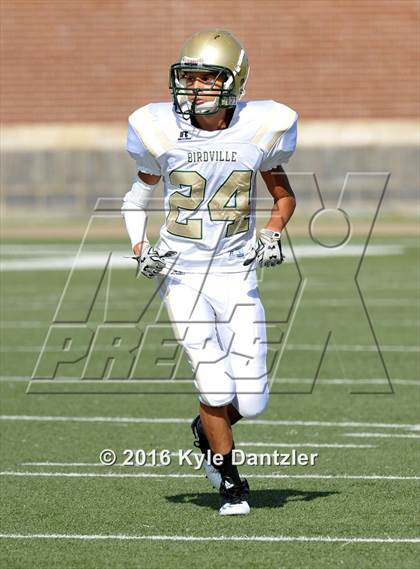 Thumbnail 1 in Boswell Gold @ Birdville Green photogallery.