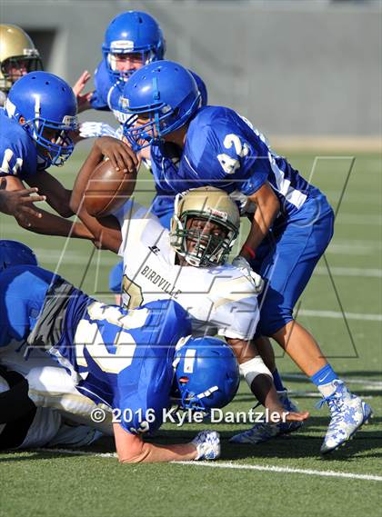 Thumbnail 2 in Boswell Gold @ Birdville Green photogallery.