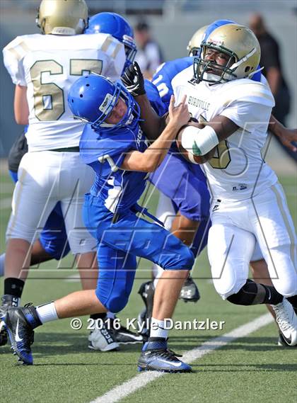 Thumbnail 2 in Boswell Gold @ Birdville Green photogallery.