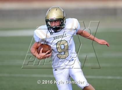 Thumbnail 2 in Boswell Gold @ Birdville Green photogallery.