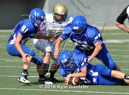 Thumbnail 1 in Boswell Gold @ Birdville Green photogallery.