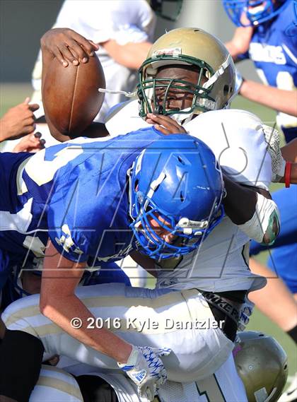 Thumbnail 1 in Boswell Gold @ Birdville Green photogallery.