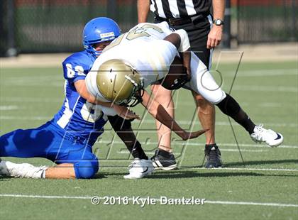 Thumbnail 3 in Boswell Gold @ Birdville Green photogallery.