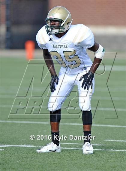 Thumbnail 3 in Boswell Gold @ Birdville Green photogallery.