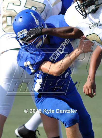 Thumbnail 3 in Boswell Gold @ Birdville Green photogallery.