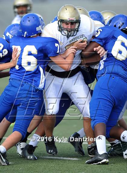 Thumbnail 2 in Boswell Gold @ Birdville Green photogallery.