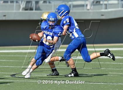 Thumbnail 2 in Boswell Gold @ Birdville Green photogallery.