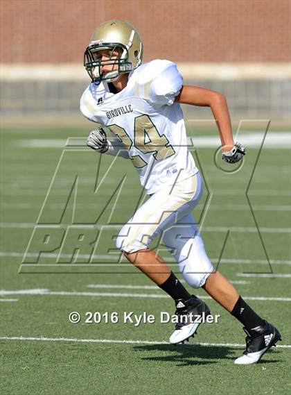Thumbnail 3 in Boswell Gold @ Birdville Green photogallery.