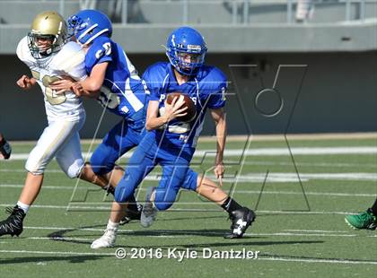 Thumbnail 3 in Boswell Gold @ Birdville Green photogallery.