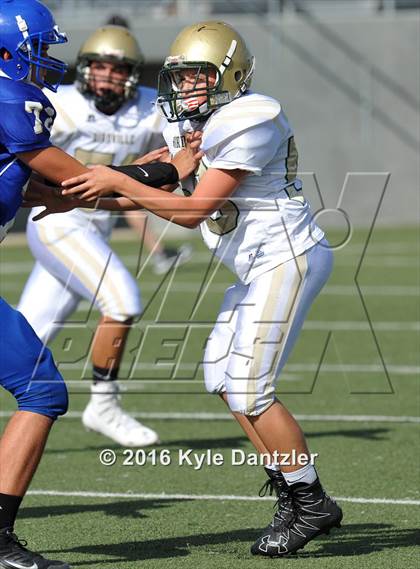 Thumbnail 3 in Boswell Gold @ Birdville Green photogallery.