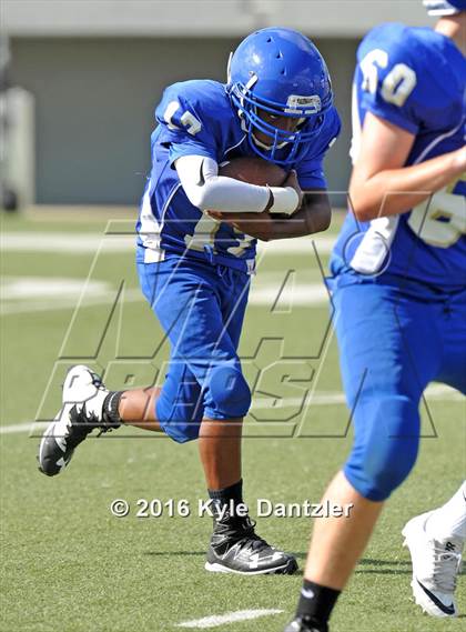 Thumbnail 2 in Boswell Gold @ Birdville Green photogallery.