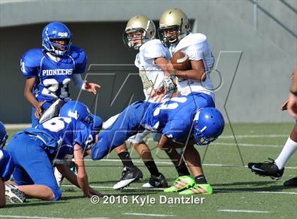 Thumbnail 2 in Boswell Gold @ Birdville Green photogallery.