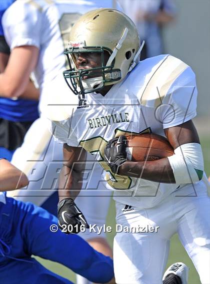 Thumbnail 1 in Boswell Gold @ Birdville Green photogallery.