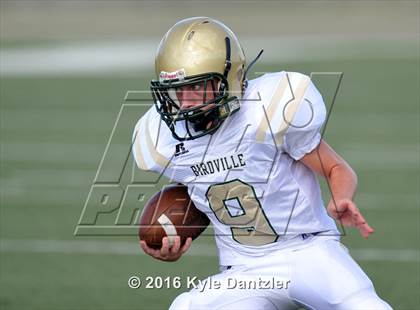Thumbnail 3 in Boswell Gold @ Birdville Green photogallery.