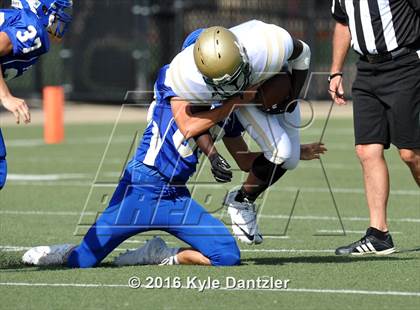 Thumbnail 2 in Boswell Gold @ Birdville Green photogallery.