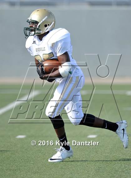 Thumbnail 2 in Boswell Gold @ Birdville Green photogallery.