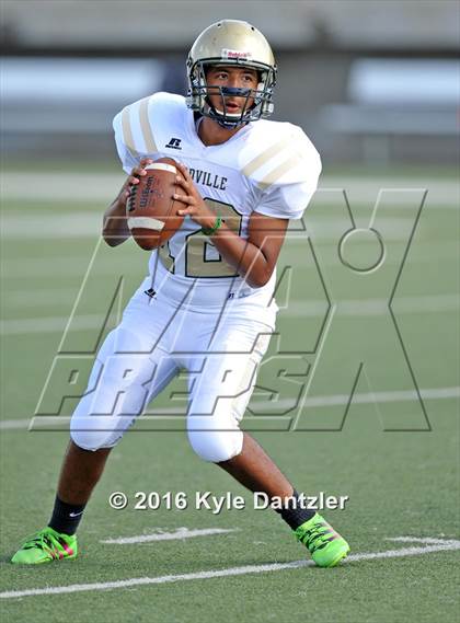 Thumbnail 1 in Boswell Gold @ Birdville Green photogallery.