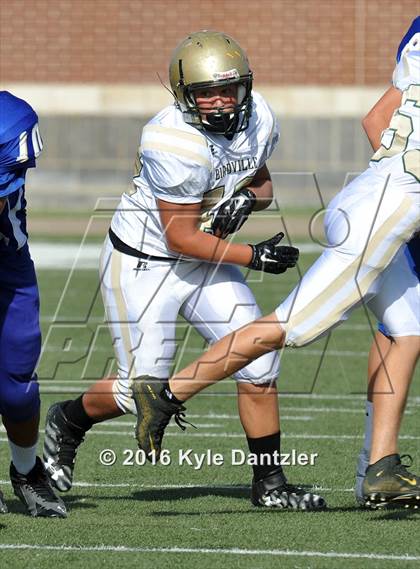 Thumbnail 1 in Boswell Gold @ Birdville Green photogallery.