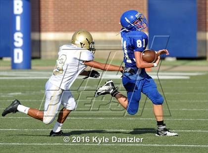 Thumbnail 1 in Boswell Gold @ Birdville Green photogallery.