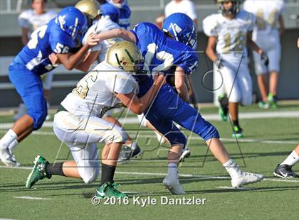 Thumbnail 3 in Boswell Gold @ Birdville Green photogallery.