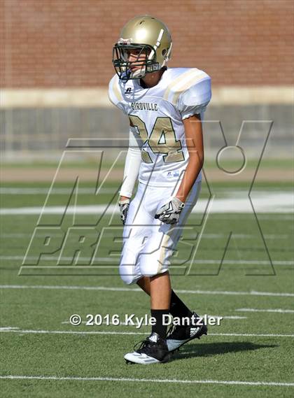 Thumbnail 1 in Boswell Gold @ Birdville Green photogallery.