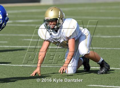Thumbnail 2 in Boswell Gold @ Birdville Green photogallery.