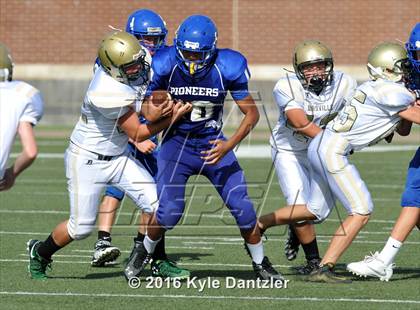 Thumbnail 3 in Boswell Gold @ Birdville Green photogallery.