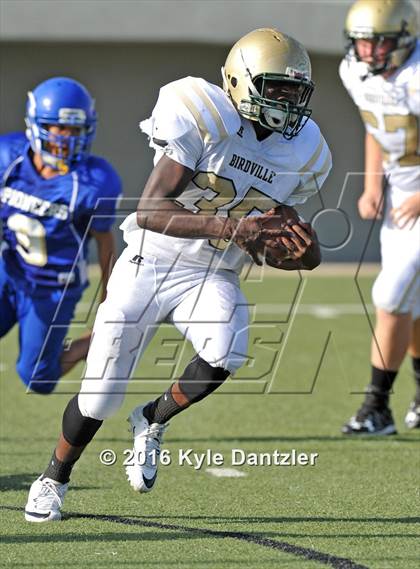 Thumbnail 3 in Boswell Gold @ Birdville Green photogallery.