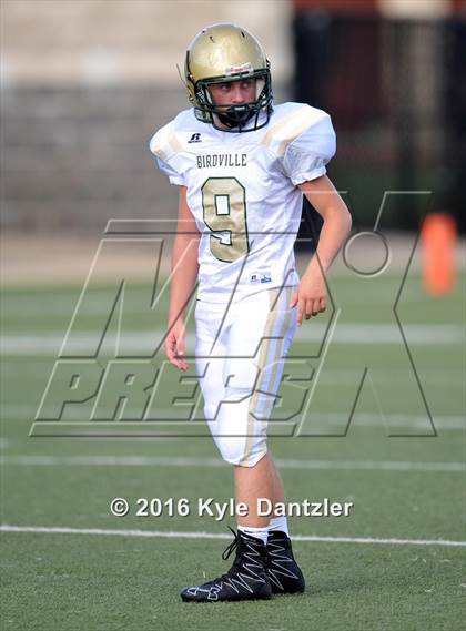 Thumbnail 1 in Boswell Gold @ Birdville Green photogallery.