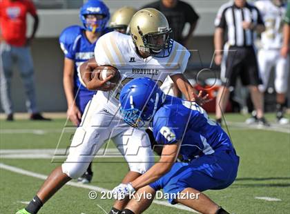 Thumbnail 3 in Boswell Gold @ Birdville Green photogallery.