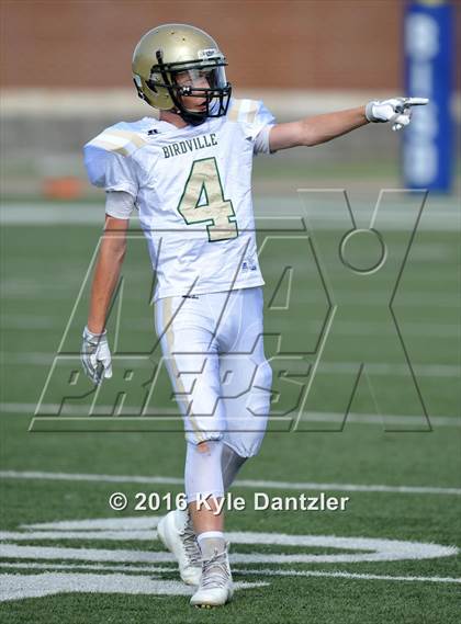 Thumbnail 2 in Boswell Gold @ Birdville Green photogallery.
